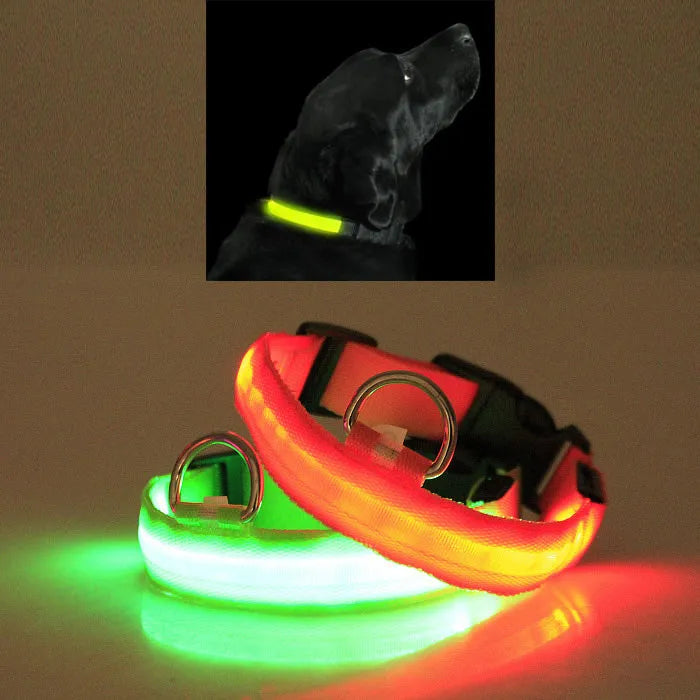 Rechargeable LED Safety Dog Collar – Night Visibility Protection