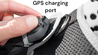 Smart Mini GPS Pet Tracker – Comfort Harness