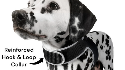 Smart Mini GPS Pet Tracker – Comfort Harness