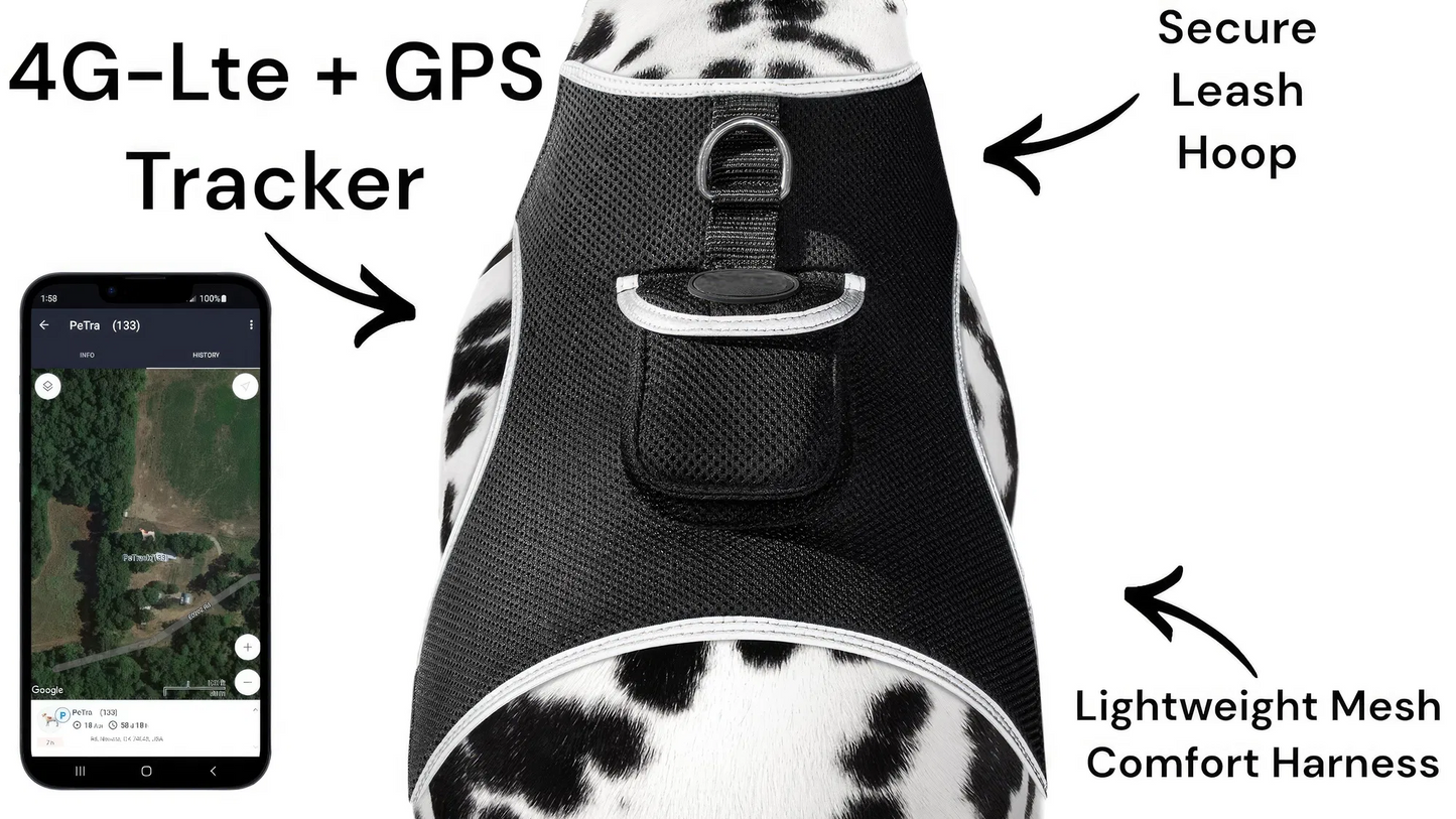 Smart Mini GPS Pet Tracker – Comfort Harness