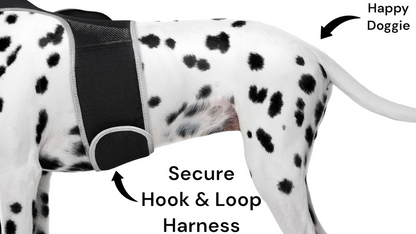 Smart Mini GPS Pet Tracker – Comfort Harness