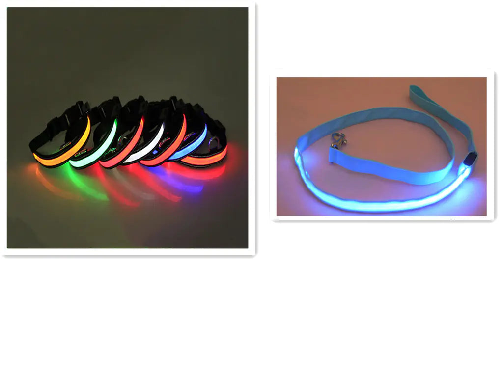 LED Dog Leash with Fluorescent Dog Collar – Safe, Stylish & Rechargeable