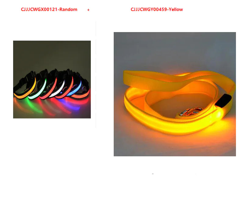 LED Dog Leash with Fluorescent Dog Collar – Safe, Stylish & Rechargeable