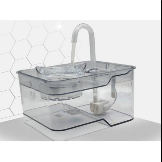 Gray tabby cat drinking from a smart pet water fountain with continuous fresh water flow