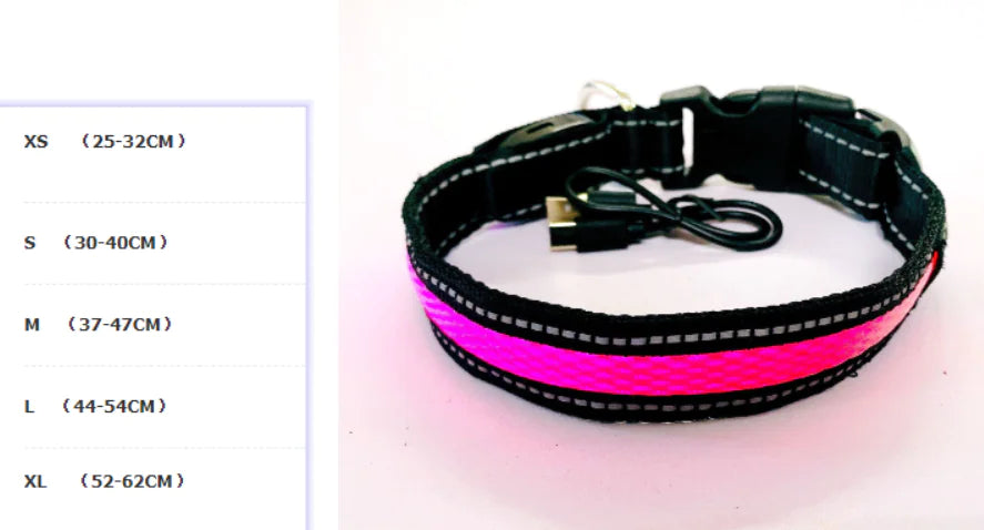 LED Dog Leash with Fluorescent Dog Collar – Safe, Stylish & Rechargeable