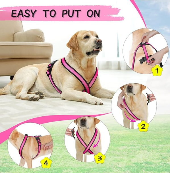 Rechargeable LED Dog Harness | High-Visibility, Reflective, Waterproof – 3 Light Modes (USB)