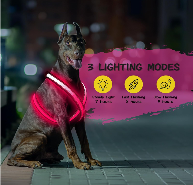 Rechargeable LED Dog Harness | High-Visibility, Reflective, Waterproof – 3 Light Modes (USB)