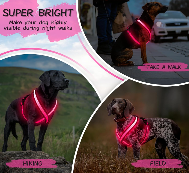 Rechargeable LED Dog Harness | High-Visibility, Reflective, Waterproof – 3 Light Modes (USB)