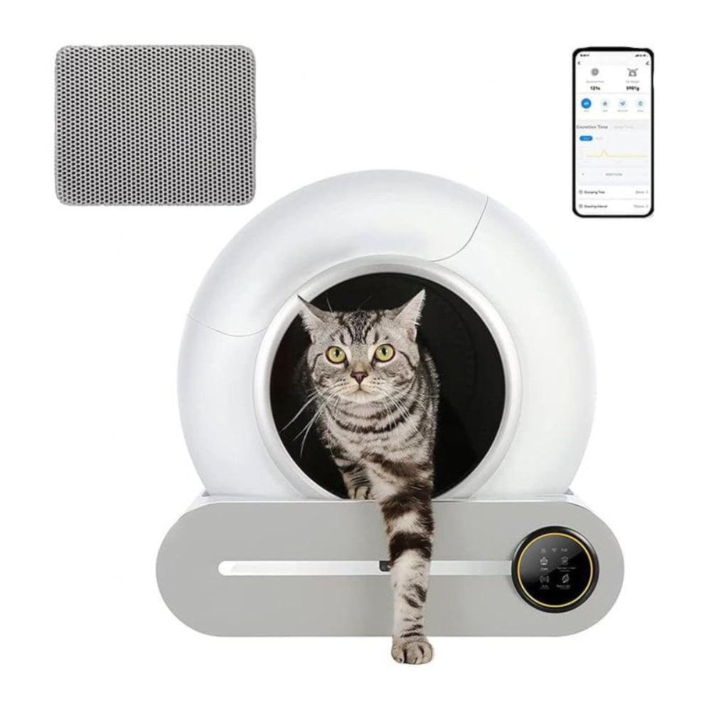 Smart pet litter box with a cat inside and a smartphone app on a wooden floor.