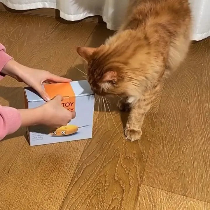 Electric Cat Interactive Toy – Automatic Laser Robot with Tail Wagging Action