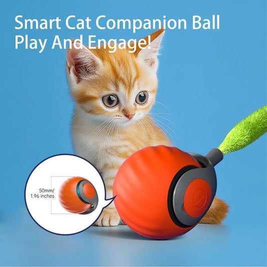 Interactive USB Rechargeable Rolling Cat Toy – Self-Activating Play Ball