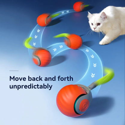 Interactive USB Rechargeable Rolling Cat Toy – Self-Activating Play Ball