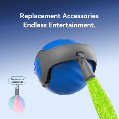 Interactive USB Rechargeable Rolling Cat Toy – Self-Activating Play Ball