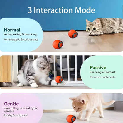 Interactive USB Rechargeable Rolling Cat Toy – Self-Activating Play Ball