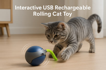 Generated cat toy headline image