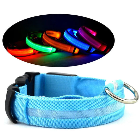 Rechargeable LED Safety Dog Collar – Night Visibility Protection