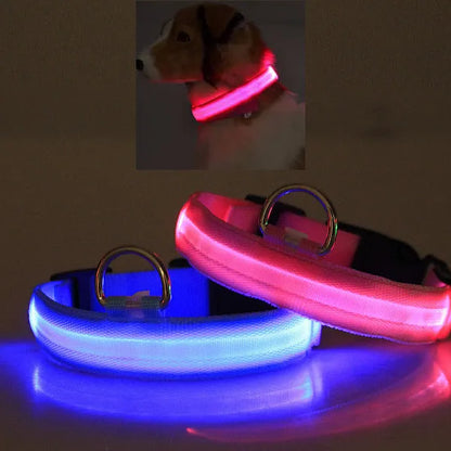 Rechargeable LED Safety Dog Collar – Night Visibility Protection