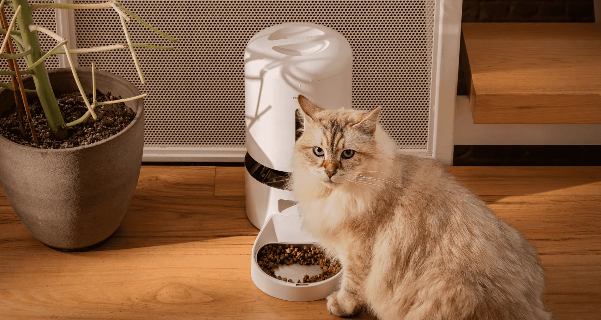 Petlibro Granary Smart Camera Feeder + Fountain Bundle