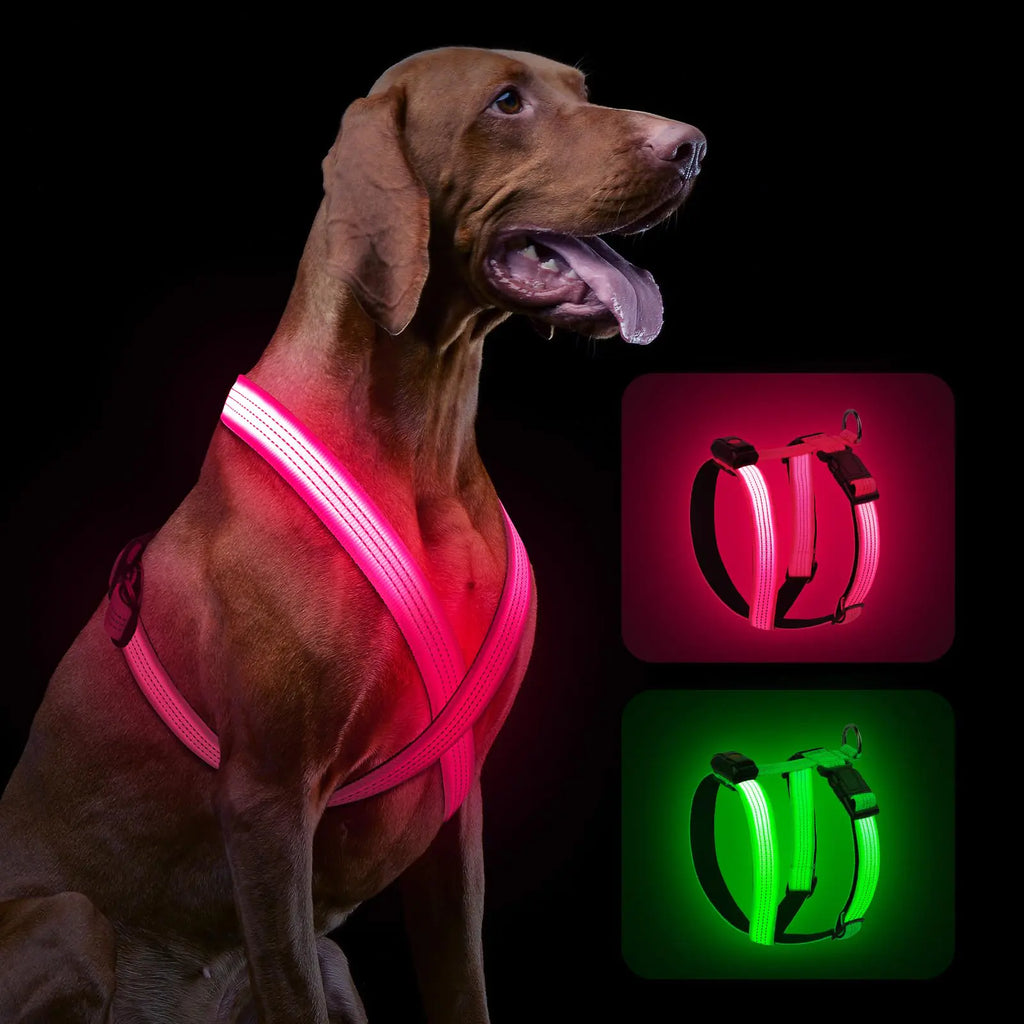 Rechargeable LED Dog Harness | High-Visibility, Reflective, Waterproof – 3 Light Modes (USB)